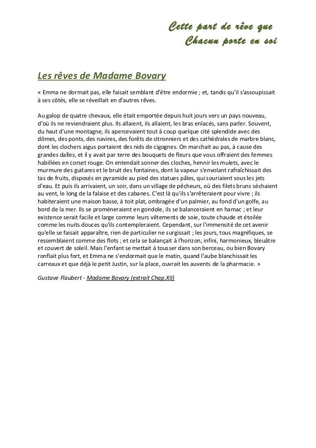 theme of love in madame bovary madame bovary summary